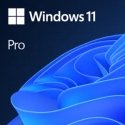 Microsoft Windows 11 Pro 1 license(s) Microsoft Windows 11 Pro 1 license(s)