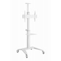 Gembird Aluminum TV floor stand with caster wheels, 37\" - 70\", baltas | Gembird Aluminum TV floor stand with caster wheels, 37\" - 70\", baltas |