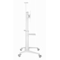 Gembird Aluminum TV floor stand with caster wheels, 37\" - 70\", baltas | Gembird Aluminum TV floor stand with caster wheels, 37\" - 70\", baltas |