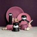 Ototo Design Rockula Muovi, Ruostumaton teräs Valkosipulin pöytäpuristin Ototo Design Rockula Muovi, Ruostumaton teräs Valkosipulin pöytäpuristin