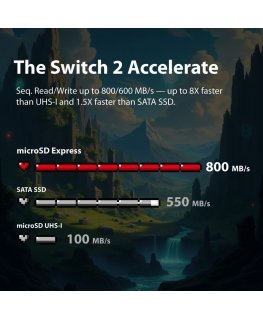 microSDXC kortelė 256GB Express 800/600MB/s Nintendo Switch 2