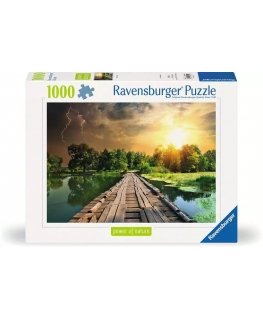 Ravensburger 12000305 Jigsaw puzzle 1000 pc(s) Other