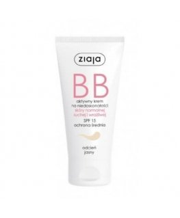 BB Cream Normal and Dry Skin SPF 15