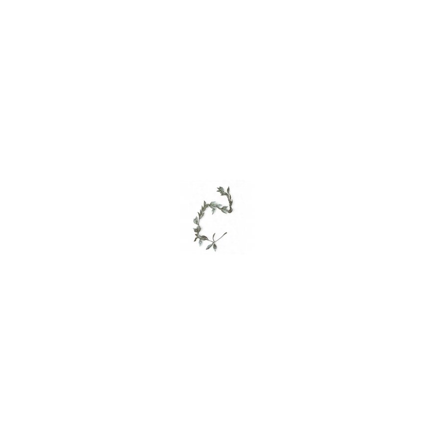 Atmosphera Olive Leaf Garland, 180 cm – 2