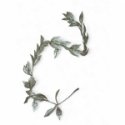 Atmosphera Olive Leaf Garland, 180 cm Atmosphera Olive Leaf Garland, 180 cm