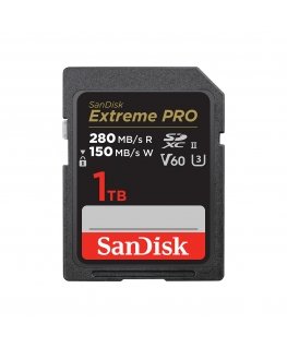 SanDisk SDSDXEP-1T00-GN4IN memory card 1 TB SDXC UHS-II Class 10