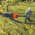 Black & Decker GPC1820L20 power pole saw 3.7 kg Black & Decker GPC1820L20 power pole saw 3.7 kg