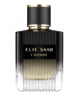 Elie Saab L'Homme 100 ml Miesten