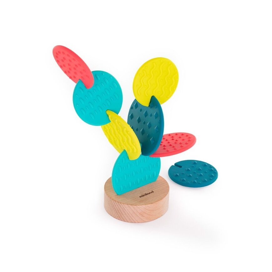 Miniland sensory cactus