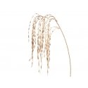 Eurofirany SW/G/243/B 107CM AUKSO Eurofirany SW/G/243/B 107CM AUKSO
