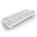 Sharkoon SGK25 tastatūra Mājas USB QWERTZ Vācu Balts