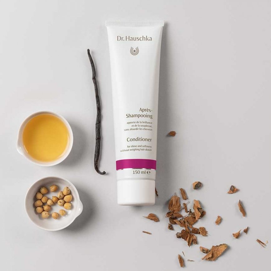 Dr. Hauschka Conditioner – 2