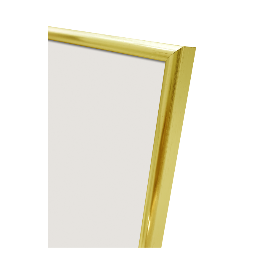 Nuotraukų rėmelis Focus Lily Gold 21x30 – 2