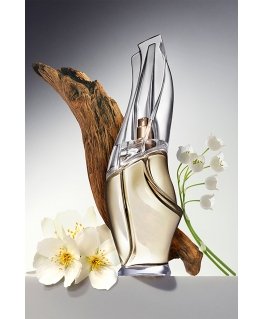 DKNY Donna Karan Cashmere Mist Eau De Parfum 100 ml (moterims)
