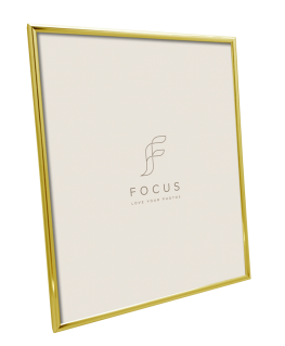 Kuvakehys Focus Lily Gold 20x30