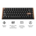 Keychron K2 HE keyboard Gaming USB + RF Wireless + Bluetooth QWERTY English Black