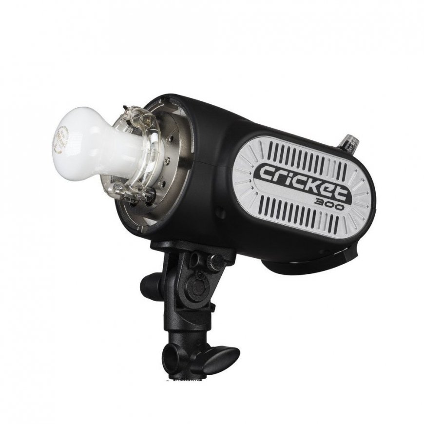 Fomex Cricket Compact 300Ws – 2