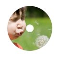 Verbatim 43521 чистый DVD 4,7 GB DVD-R 10 шт Verbatim 43521 чистый DVD 4,7 GB DVD-R 10 шт