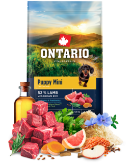 Ontario Puppy Mini ėriena & rudosios ryžiai 6.5kg