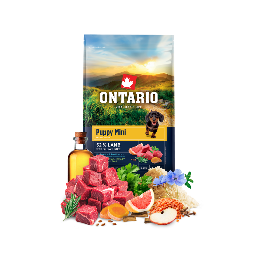 Ontario Puppy Mini lambaliha & pruun riis 6.5kg