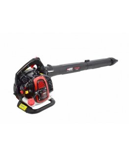 AW-Tools AWTOOLS Bensiini lehepuhuri / Tolmuimeja DO LIŚCI 3w1 0,75 kW 450ml LBV340