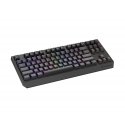 GENESIS Thor 230 TKL клавиатура Игровой USB + RF Wireless + Bluetooth QWERTY Серый GENESIS Thor 230 TKL клавиатура Игровой USB + RF Wireless + Bluetooth QWERTY Серый