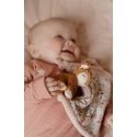 Маленький голландский волшебный сад, Унилина каурис Маленький голландский волшебный сад, Унилина каурис
