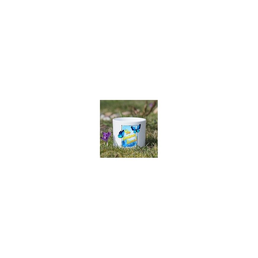Eurofirany C/MIRIAM/WAZ/02 11X11X25 SUDRABS – 2