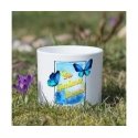 Eurofirany C/MIRIAM/WAZ/02 11X11X25 SIDABRAS