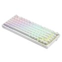 Savio Phenix WHITE GAT YELLOW klaviatuur Mängimine USB + Bluetooth QWERTY US rahvusvaheline Valge Savio Phenix WHITE GAT YELLOW klaviatuur Mängimine USB + Bluetooth QWERTY US rahvusvaheline Valge