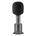 Xiaomi BHR6752GL microphone Black Karaoke microphone