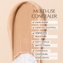 Estée Lauder Double Wear Stay-in-Place 24-Hour Concealer 2C 12ml
