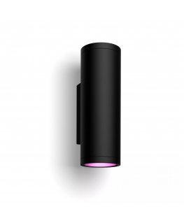Philips Hue White and colour ambience Appear Outdoor wall light