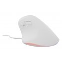 NATEC Crake 2 Pro компьютерная мышь Универсальная Для правой руки USB тип-A Оптический 12800 DPI