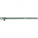 TRIXIE CityStyle Green Polyvinyl chloride (PVC) S-M Dog Standard collar