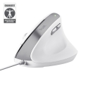 Trust Bayo II компьютерная мышь Офисная Для правой руки USB тип-A Оптический 2400 DPI