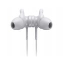 Lenovo GXD1B65027 headphones/headset Wireless In-ear Calls/Music/Sport/Everyday Bluetooth Grey
