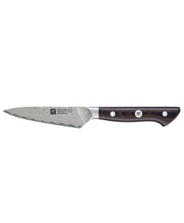 ZWILLING 30570-101-0 kitchen knife Steel 1 pc(s) Paring knife