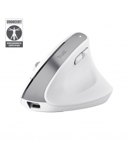 Trust Bayo+ mouse Office Right-hand RF Wireless + Bluetooth Optical 2400 DPI