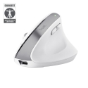 Trust Bayo+ hiiri Office Oikeakätinen RF Wireless + Bluetooth Optinen 2400 DPI