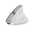 Trust Bayo+ hiiri Office Oikeakätinen RF Wireless + Bluetooth Optinen 2400 DPI