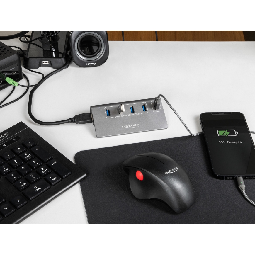 DeLOCK 64182 хаб-разветвитель USB 3.2 Gen 2 (3.1 Gen 2) Type-A 10 Мбит/с Серый – 4