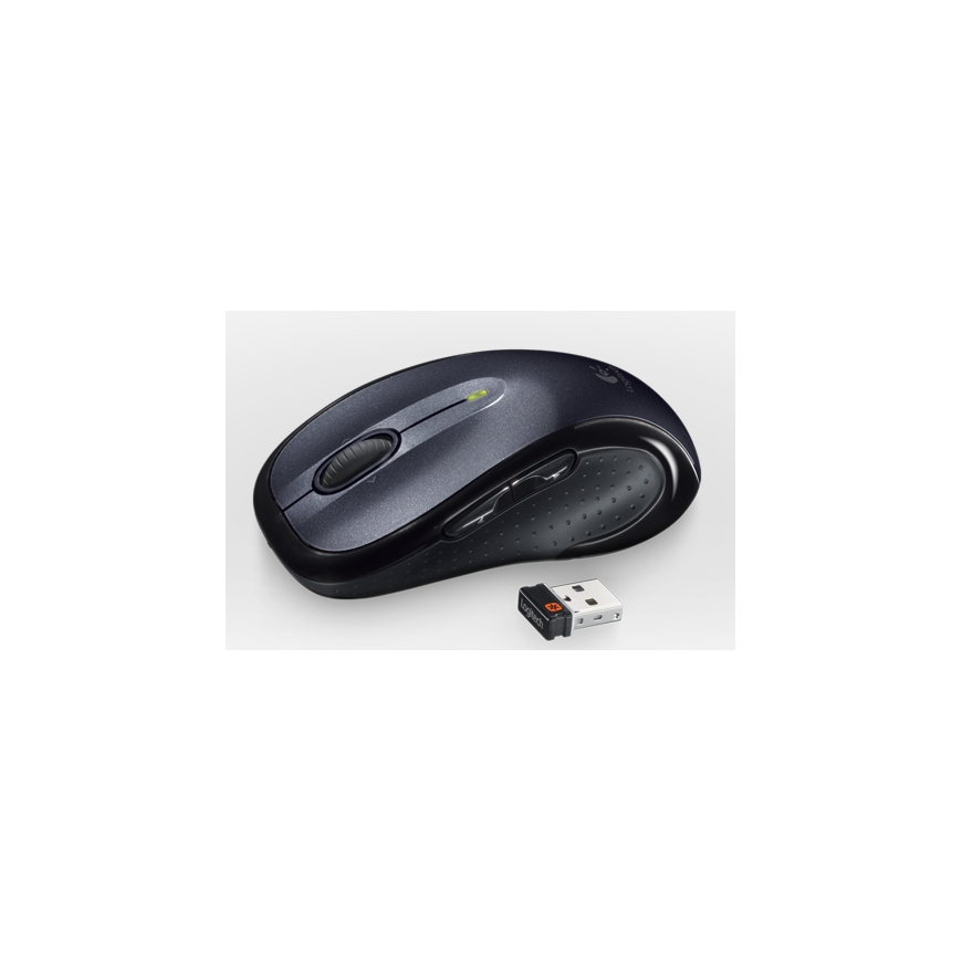 Logitech 910-001822 компьютерная мышь Офисная Для правой руки Беспроводной RF Оптический 1000 DPI – 2