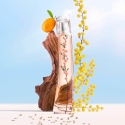 KENZO Flower Ikebana Mimosa 40 ml Женский KENZO Flower Ikebana Mimosa 40 ml Женский