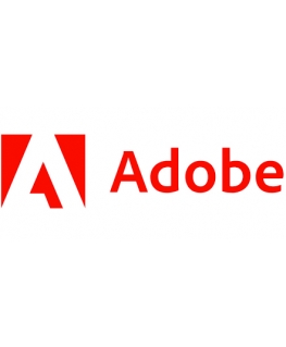 Adobe Acrobat Pro Upgrade 1 license(s) License 1 year(s)