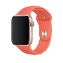 Apple MWUW2ZM/A Smart Wearable Accessories Band Orange Fluoroelastomer Apple MWUW2ZM/A Smart Wearable Accessories Band Orange Fluoroelastomer