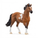 schleich HORSE CLUB Mangalarga Marchador Stallion schleich HORSE CLUB Mangalarga Marchador Stallion