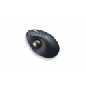 Kensington Pro Fit Ergo TB550 hiir Kontor Parempoolne RF juhtmeta ühendus + Bluetooth Juhtkuul 1600 Kensington Pro Fit Ergo TB550 hiir Kontor Parempoolne RF juhtmeta ühendus + Bluetooth Juhtkuul 1600