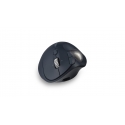 Kensington Pro Fit Ergo TB550 компьютерная мышь Офисная Для правой руки РЧ беспроводной + Bluetooth Kensington Pro Fit Ergo TB550 компьютерная мышь Офисная Для правой руки РЧ беспроводной + Bluetooth