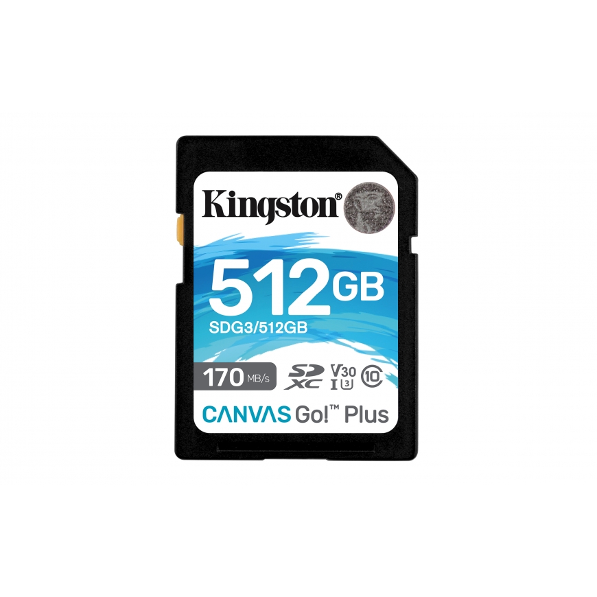 Kingston Technology Kingston Technology Canvas Go